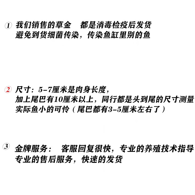 冷水淡水活体观赏鱼锦鲤鱼活鱼金鱼小型鱼好养耐活红鲫鱼花草金鱼 肉身5-7厘米16条送4条备损