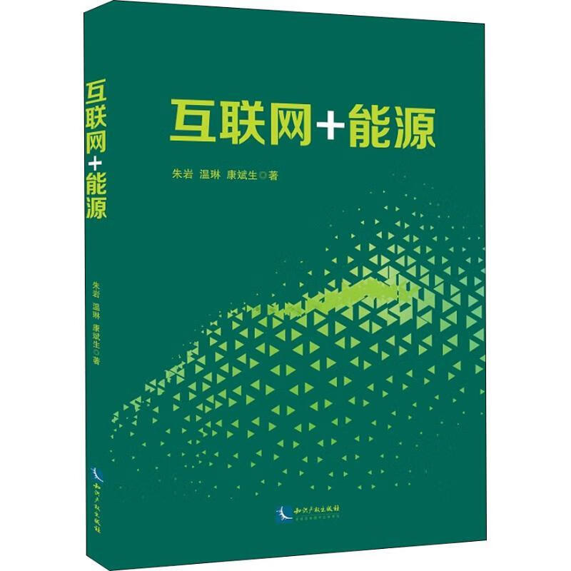 互联网+能源 朱岩,温琳,康斌生