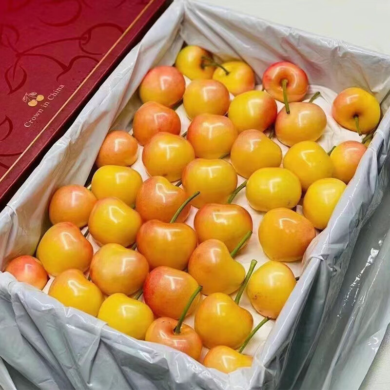 【顺丰空运】佳红大樱桃 黄金车厘子大连黄樱桃国产车厘子金车车里子