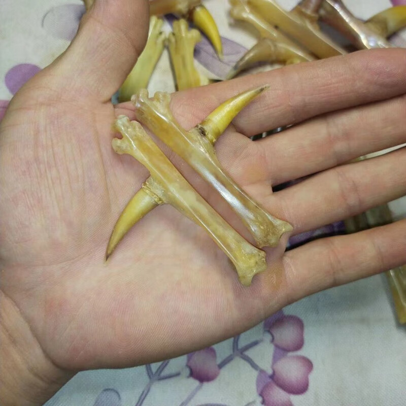 豪金门高档文玩鸡蹬子  鸡爪骨手把件鸡蹬骨子鸡爪骨把件老鸡拐子抓钱
