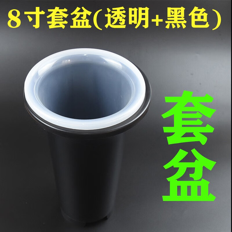 侬景园透明兰花盆塑料兰花花盆加厚简约兰花专用盆加高经典兰草盆透气