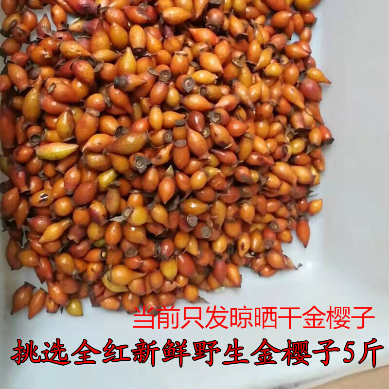 全红金樱子新鲜金英子刺梨泡酒材料糖罐子20年现摘5斤装红果伊梵