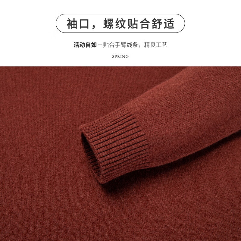 SHANSHAN杉杉加厚款100%纯羊毛衫男半高领秋冬新款毛衣男装针织打底衫 花紫红【全羊毛 柔软亲肤】 XL (180/96A)