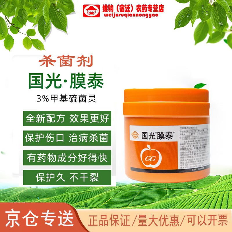 国光膜泰大树盆景果树伤口涂抹剂愈合剂嫁接腐烂病愈伤封口膏 500g