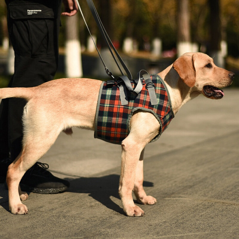 宠物狗狗辅助带提拉带前腿后腿残疾受伤高老龄犬支撑辅助行走 前腿