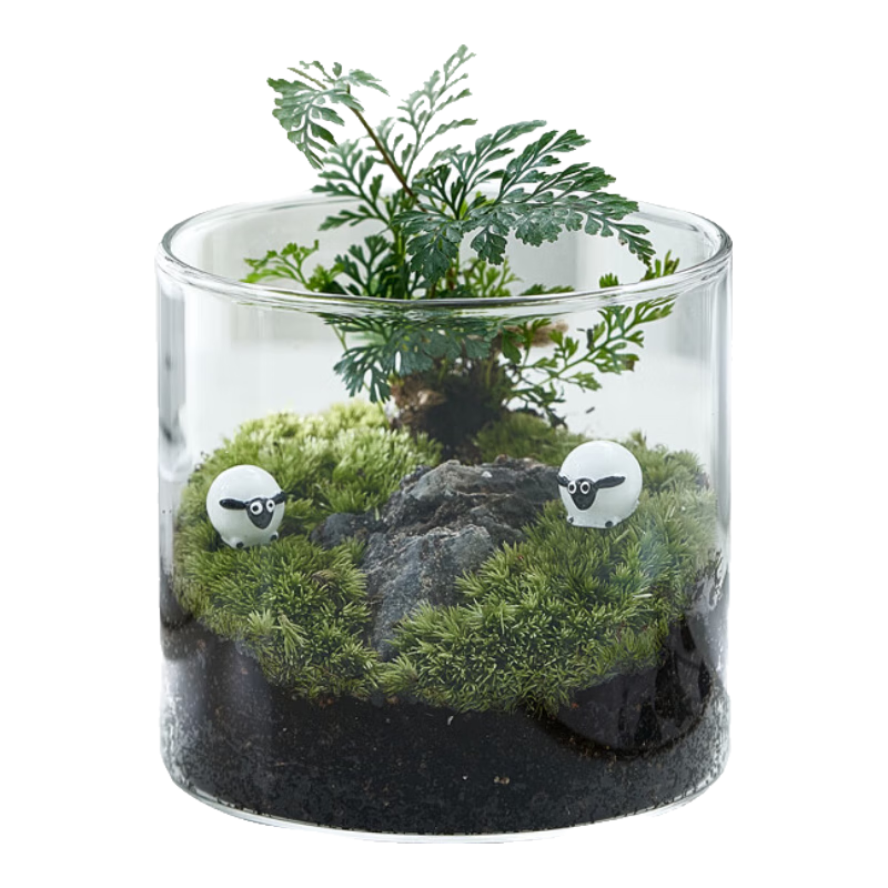 ɽҰ�˼� ��ѿ�ʻ�̦޺΢�;������� �������� ������ֲ��̬�辰    16.83Ԫ/������50.5Ԫ��