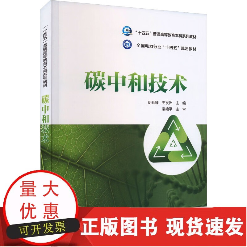 碳中和技术 中国电力出版社