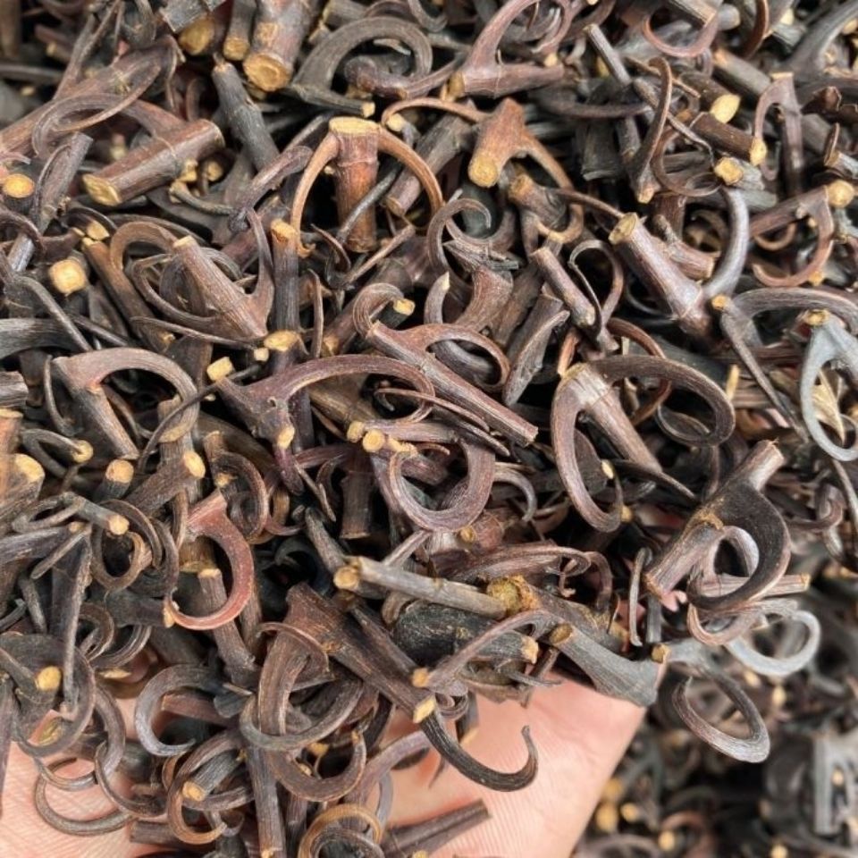 钩藤中药材勾藤钩藤茶鹰爪风钩草倒挂刺精选无硫新货 钩藤【含钩75%