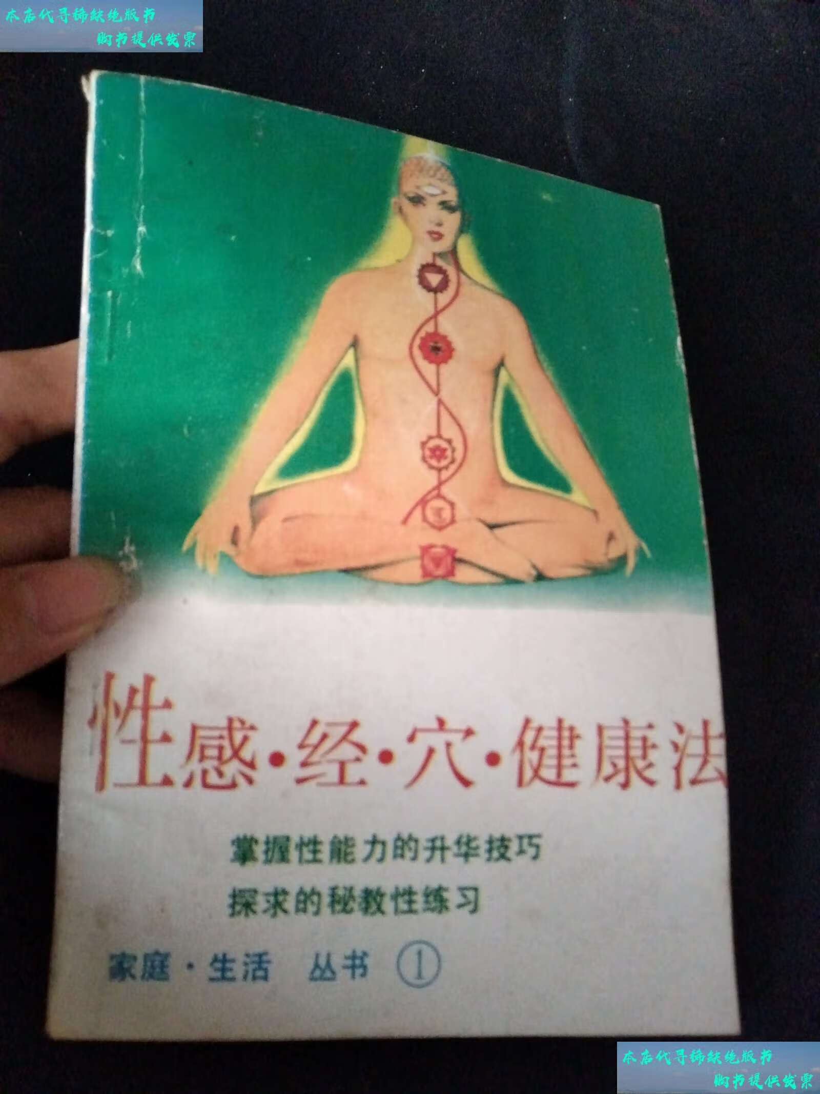 【二手书9成新】素女经穴秘传图说 又名:性感.经穴.