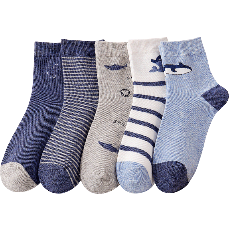 ڲɯͯļͯдͯѧͲ5˫װ