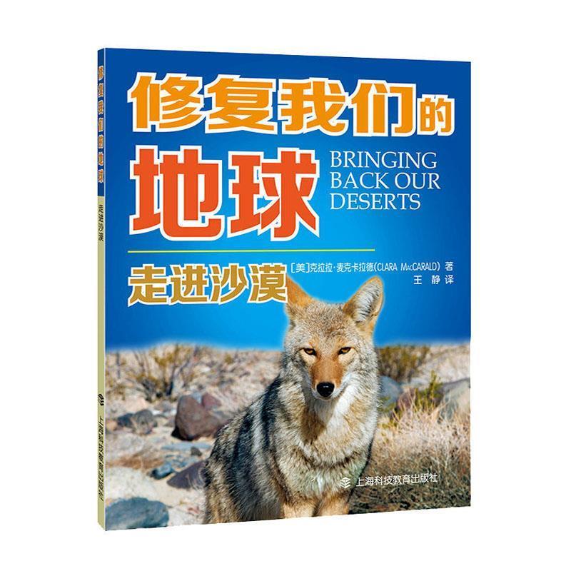 走进沙漠