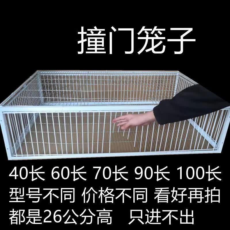 鸽子活络门笼撞门鸽笼铁笼只进不出跳笼天 加密40长30宽26高4面进口送