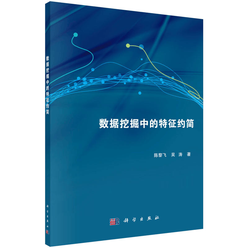 数据挖掘中的特征约简
