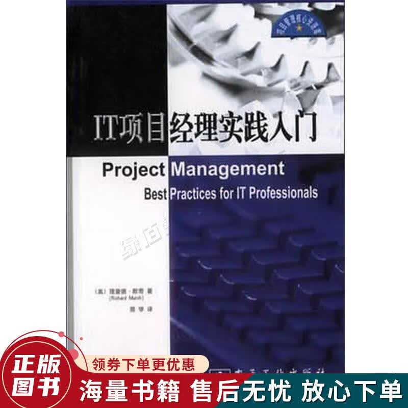 IT项目经理实践入门