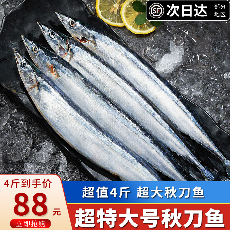 海宏盈秋刀鱼超大5-7条/斤海鱼日式烧烤秋刀鱼生鲜鱼类海鲜水产 4斤装共20-28条