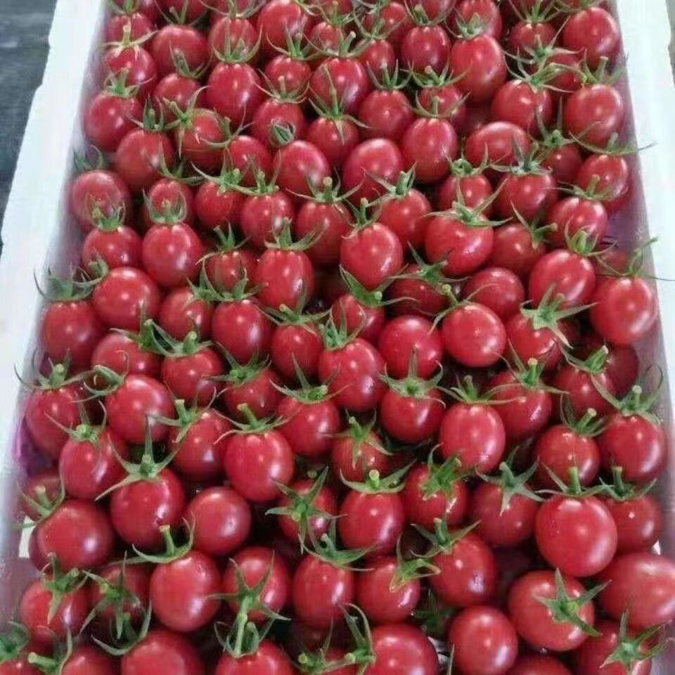 OLOEY����ǧ��ʥŮ��������ժӣ��С��������ˮ��  ��2�ݺϷ�һ�� ǧ��ʥŮ�� ��ѡװ  ����2.5��/ 11.44Ԫ