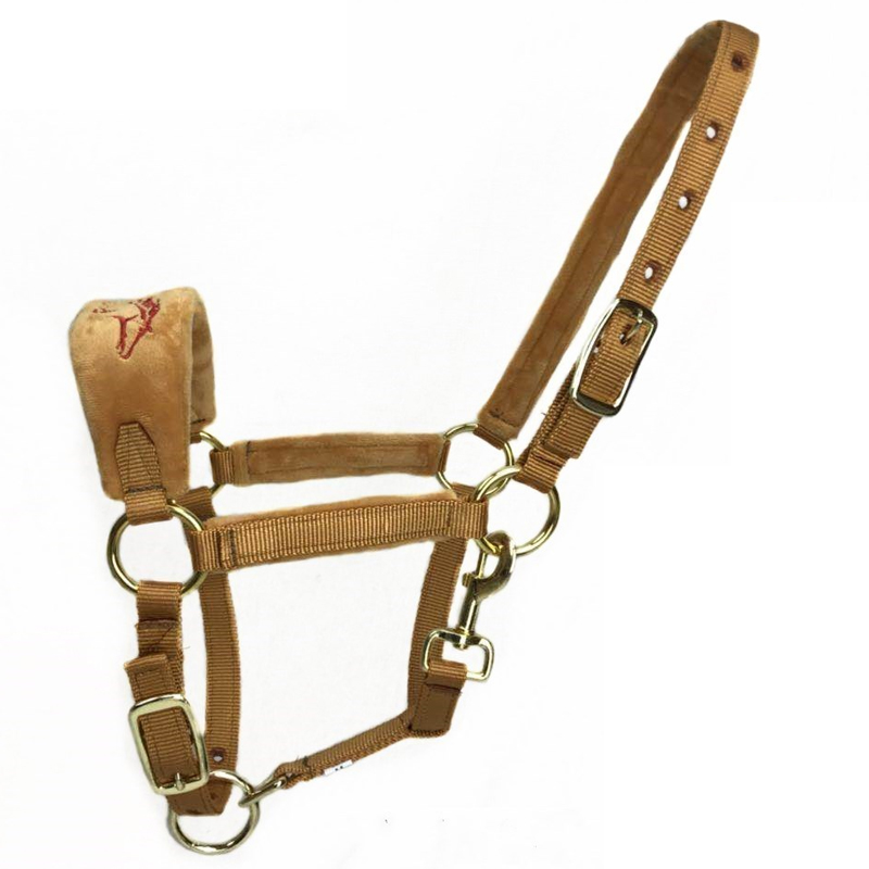 贺杨喻马具牵马大马小马矮马笼头马龙套马匹装备马术龙头加绒毛 防磨