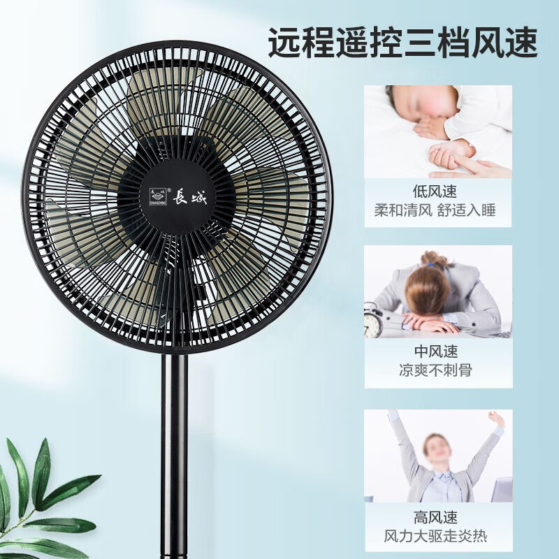 长城（CHANGCHENG）电风扇机械落地扇七叶台地两用风扇家用电扇大风量摇头扇风大音轻立式电扇 智能遥控款FS-30（4）P