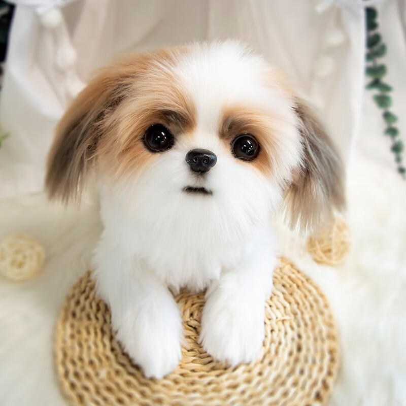 知酷仿真重生娃娃婴儿软胶 狗狗玩偶西施宠物公仔布偶毛绒玩具女孩陪