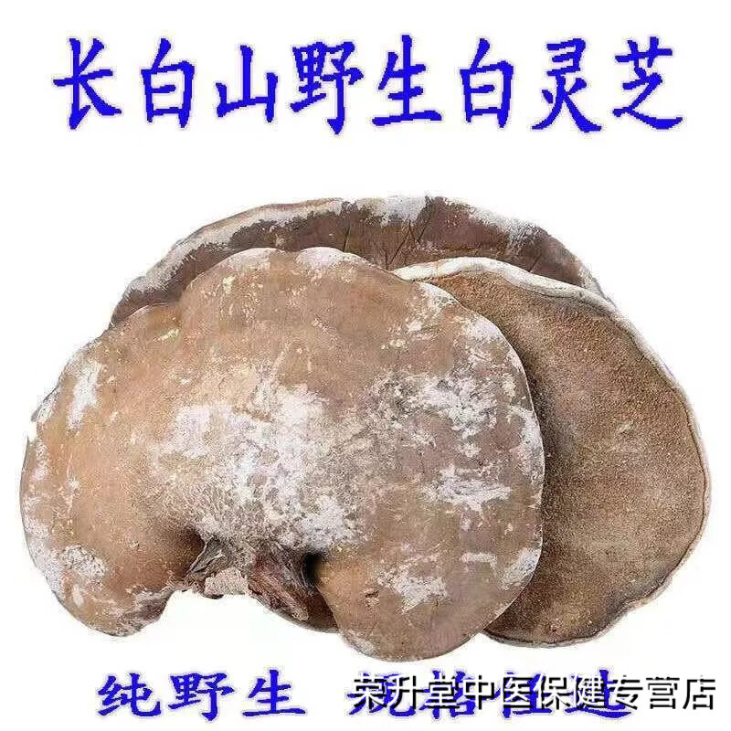 内廷上用品质 纯野生长白山白灵芝 玉灵芝 白桦树灵芝 白玉灵芝天然