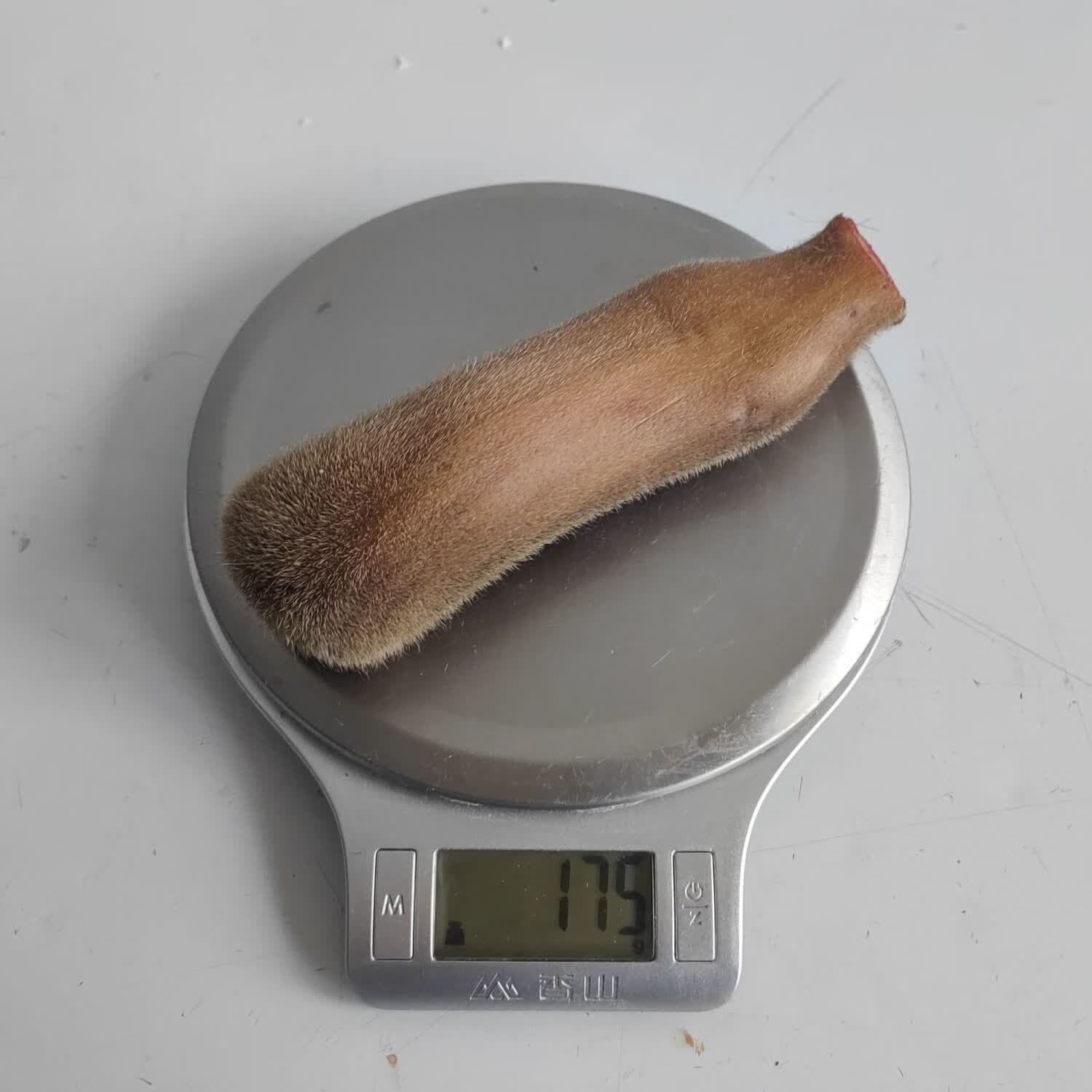 新鲜鹿茸鲜鹿茸整根新鲜梅花鹿茸鹿场直销新鲜含血泡酒料吉林双阳 175