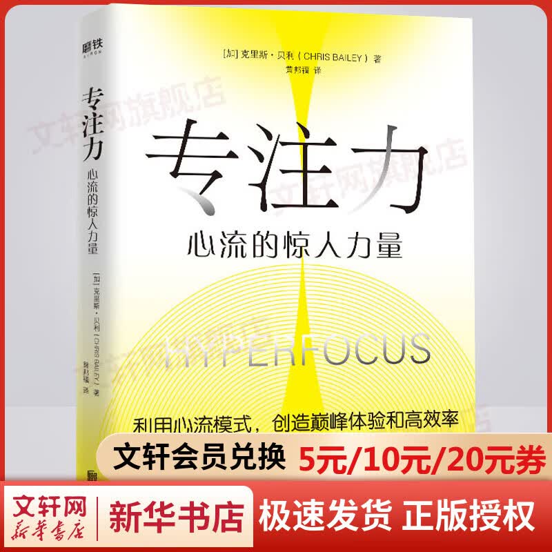 专注力 心流的惊人力量