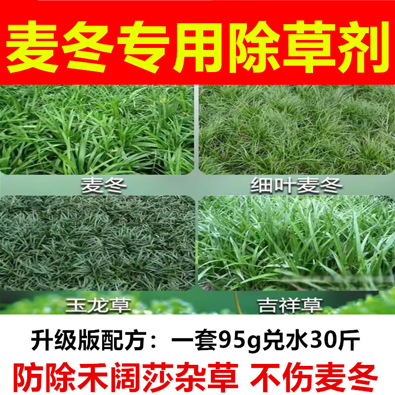 阔封农药麦冬专用除草剂细叶金边宽叶日本矮麦冬玉龙草绿化除草专用药