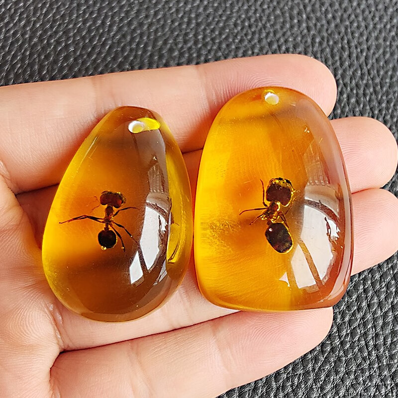 昆虫科普琥珀教学琥珀识物项链标本学生琥珀科普昆虫标 圣诞礼物 蚂蚁