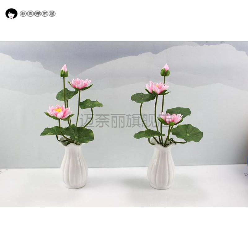 供花 相关京东优惠商品 6 价格图片品牌优惠券 虎窝购
