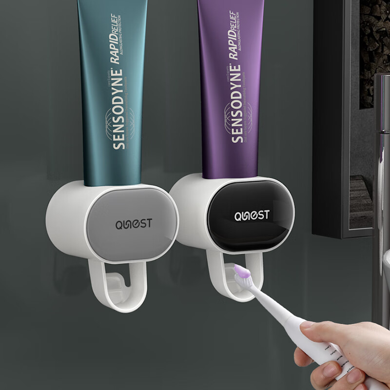 趣巢（QUNEST）新款全自动挤牙膏神器家用壁挂式挤压器卫生间免打孔牙刷置物架 百搭灰 一个装