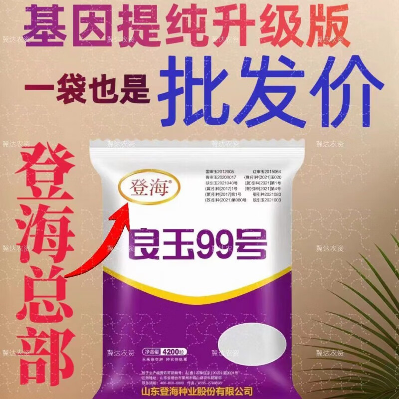 秋颖国审登海良玉99号玉米种抗病抗旱,高产原装 良玉99号一袋