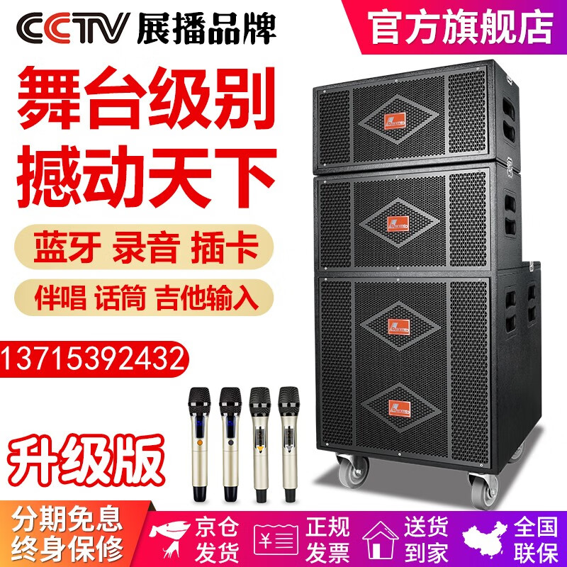 丹唛仕（Danms） H-9800/9900重低音户外音响大功率大型广场舞音箱婚庆舞台演出线阵音响 15寸线阵音响+16GU盘+4只专业话筒