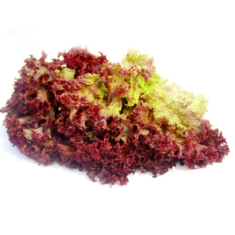 绿食者 沙拉蔬菜组合3.5斤 新鲜苦菊绿叶红叶生菜西餐沙拉健康轻食蔬菜 蔬菜沙拉组合3.5斤【无沙拉酱】