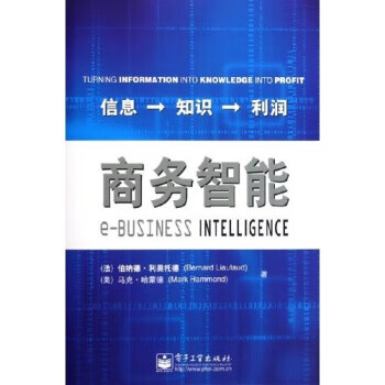 商务智能 信息知识利润【正版特惠】