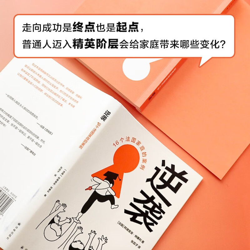 译见丛书~逆袭：16个法国家庭的案例详情图