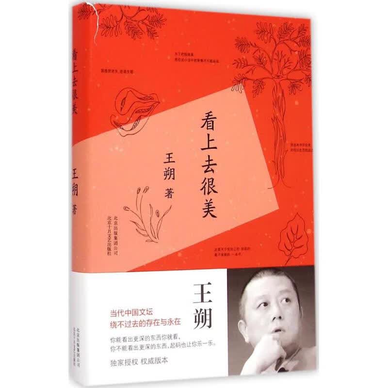 看上去很美 王朔 著 著 中国现当代文学