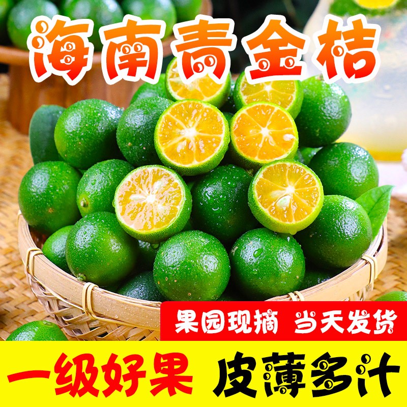 葉老三海南新鮮青金桔小金桔青橘奶茶店水果 新鮮水果 健康輕食 5斤裝(精選)中大果