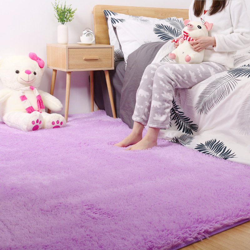 地毯卧室满铺可爱房间床边毯北欧网红同款客厅茶几毯可睡可坐 紫色加厚长毛款 40X120厘米