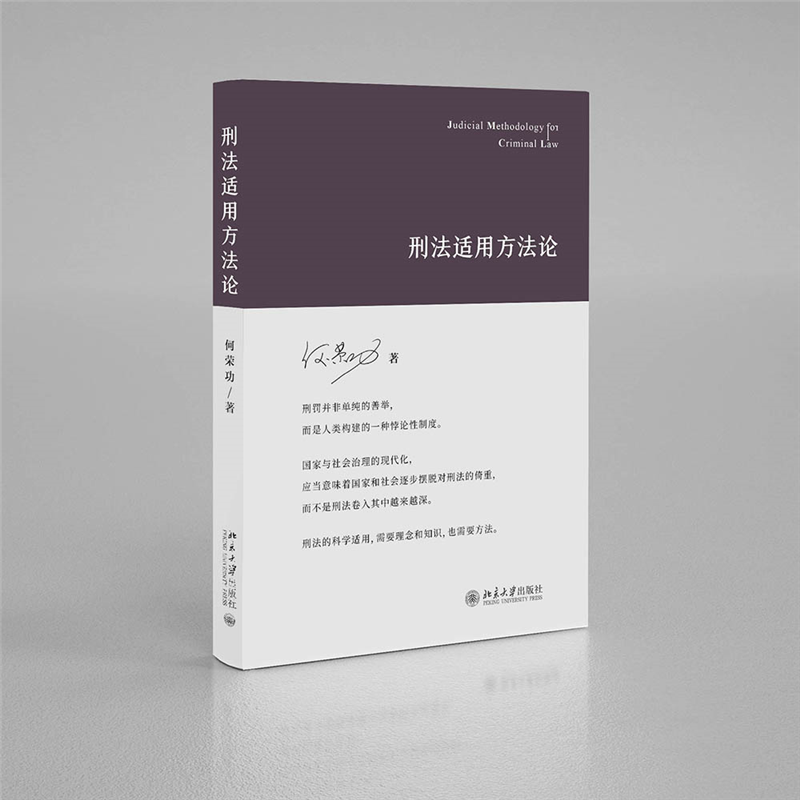 刑法适用方法论(精)