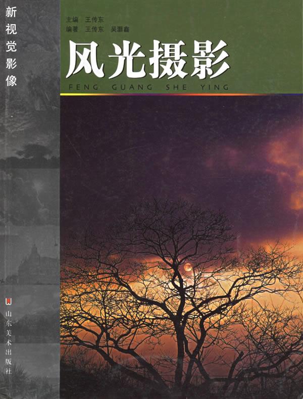 风光摄影(新视觉影像)王传东摄影9787533018634 风光摄影摄影技术普通成人