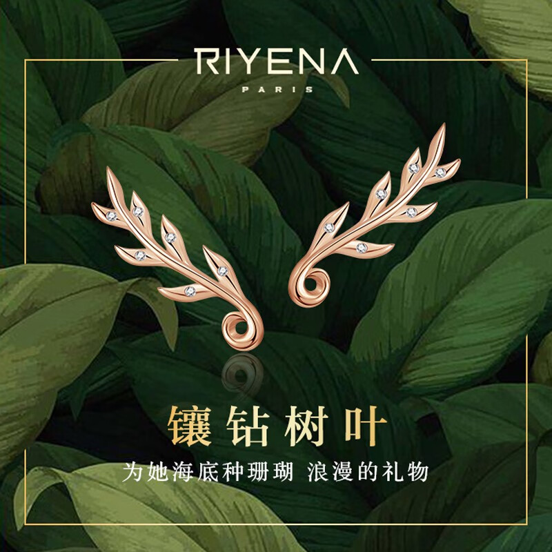 可以看京东耳饰历史价格|耳饰价格走势图