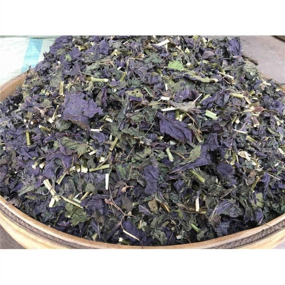 野生紫苏叶干中草药新鲜食用小紫苏叶子泡澡泡脚炒海鲜去腥泡茶 全