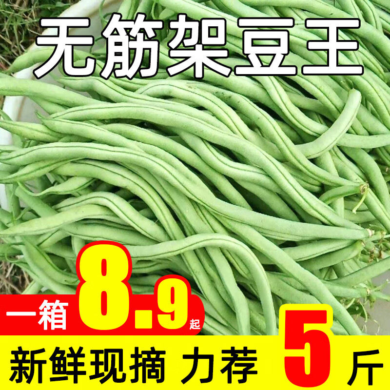 现摘新鲜架豆王无筋豆角5斤新鲜蔬菜四季豆芸豆泰国刀豆整箱 1斤