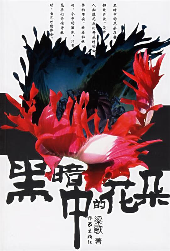 黑暗中的花朵 梁歌【正版】