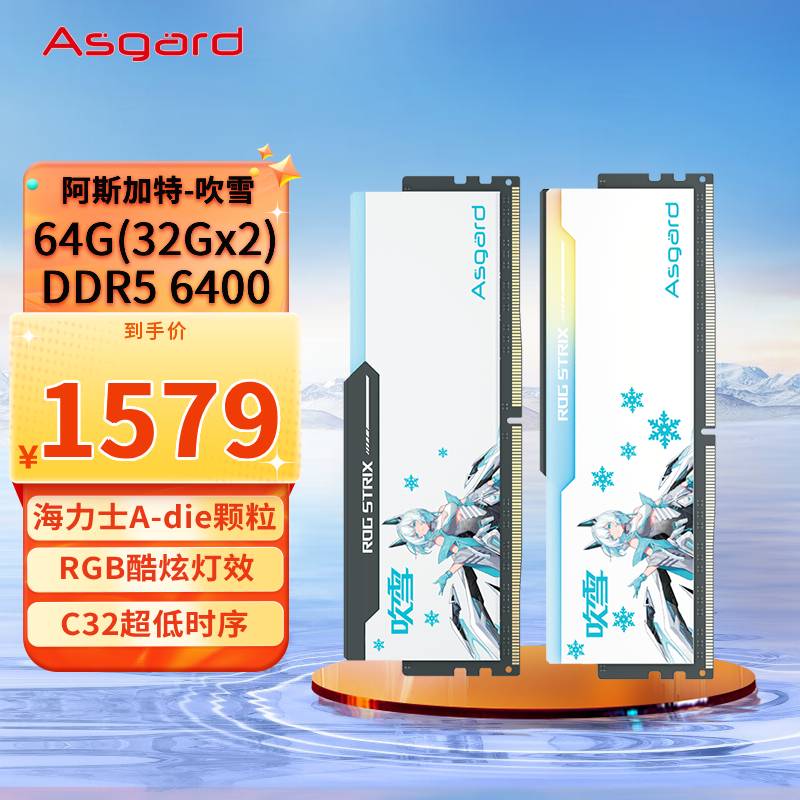 阿斯加特（Asgard）DDR5 6400 台式机内存 RGB灯条-吹雪【CL32】 【D5 6400 32x2】吹雪 海力士A-die