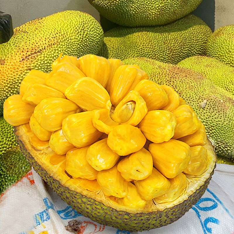 桃李村海南三亚菠萝蜜新鲜水果波罗蜜当季特产一整个 12-14斤