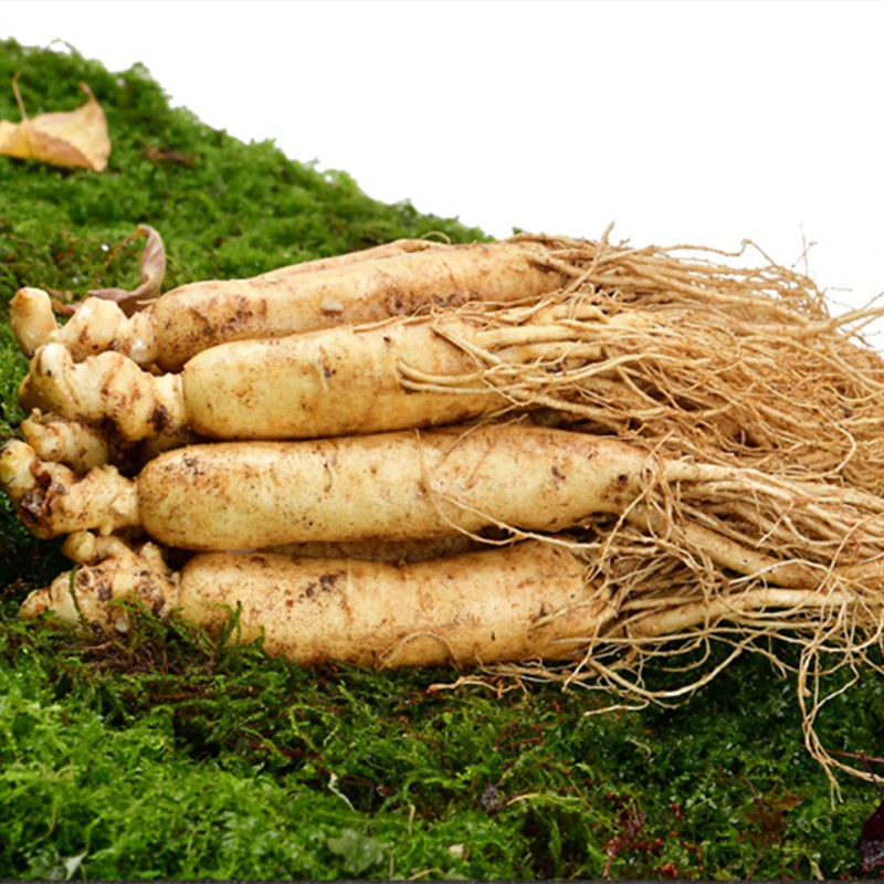 【一斤裝 產(chǎn)地直發(fā)】笑熙熙 新鮮人參 特大東北長白山人參帶土 飯店煲湯泡酒 一斤裝30-50支(性價比高)