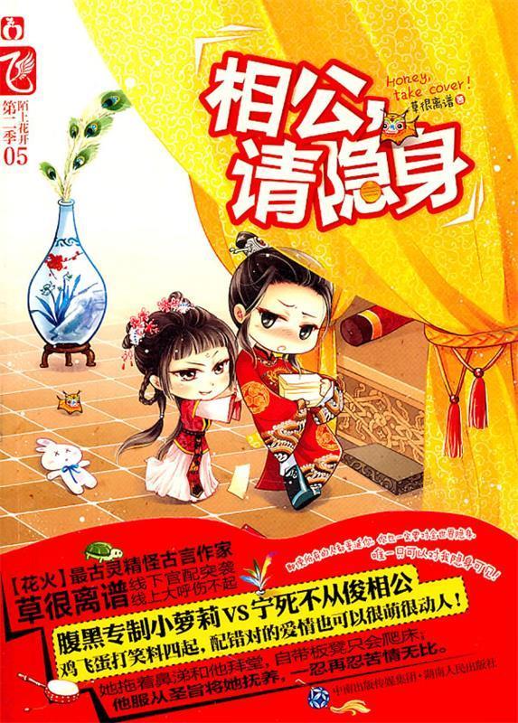 相公,请隐身【正版图书】