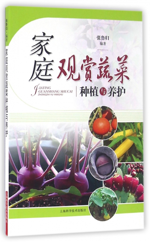 家庭观赏蔬菜种植与养护