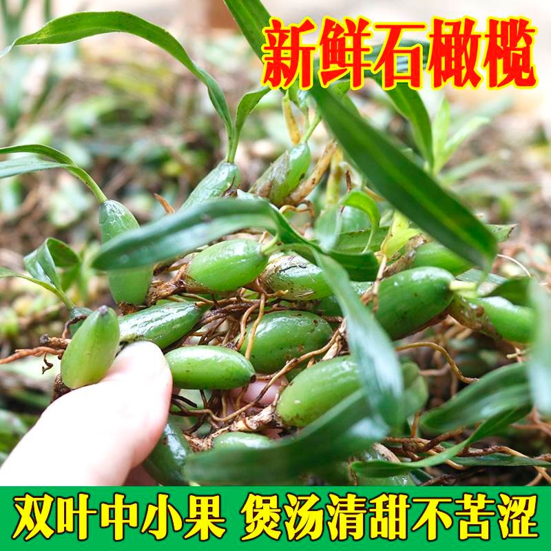 新鲜石橄榄 新鲜双叶石橄榄 炖汤煲汤配料石仙桃 250g